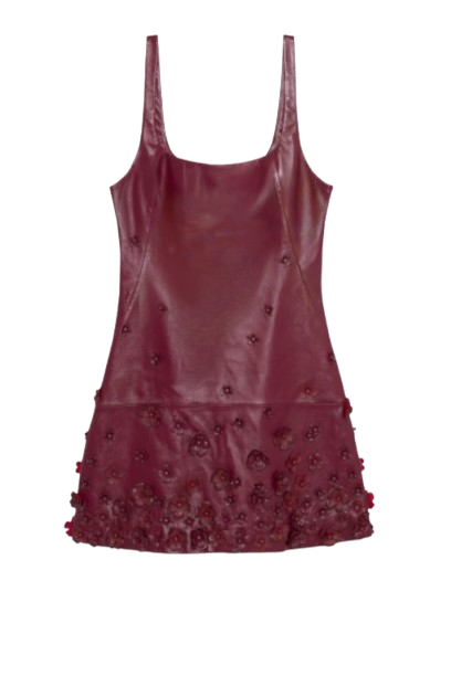 Simkhai Talen Floral Leather Mini Dress